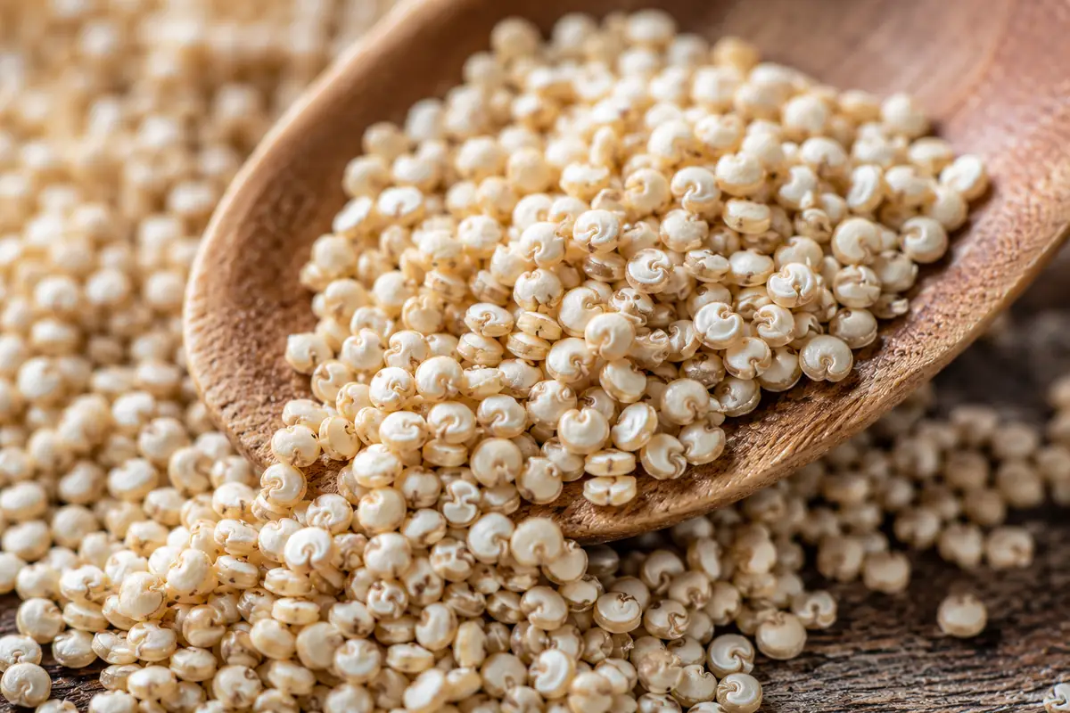 The pseudocereal seed that behaves like a grain Macro close-up of raw gluten free quinoa seeds on a wooden spoon, showing the tiny curled germ ring of the pseudocereal seed